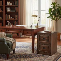 Traditional 2-Drawer File Cabinet- OFZTF2BM122
