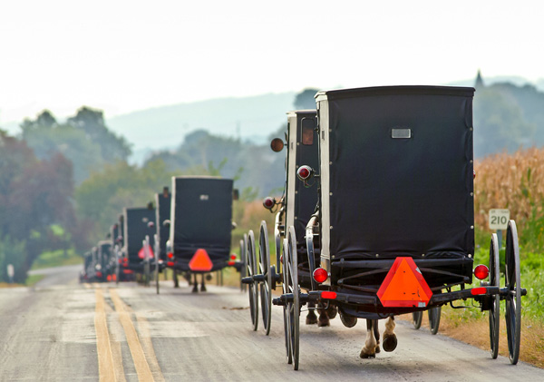 Amish In Florida