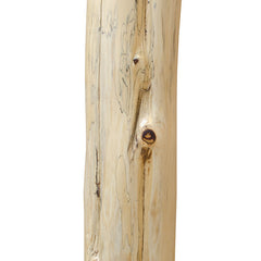 Rustic Lodge Pole Floor Lamp