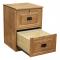 Traditional 2-Drawer File Cabinet 