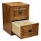 Traditional 2-Drawer File Cabinet 
