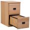 Amish Traditional 2-Drawer Personal File Cabinet