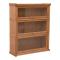 Lawyer's 3 Bookcase